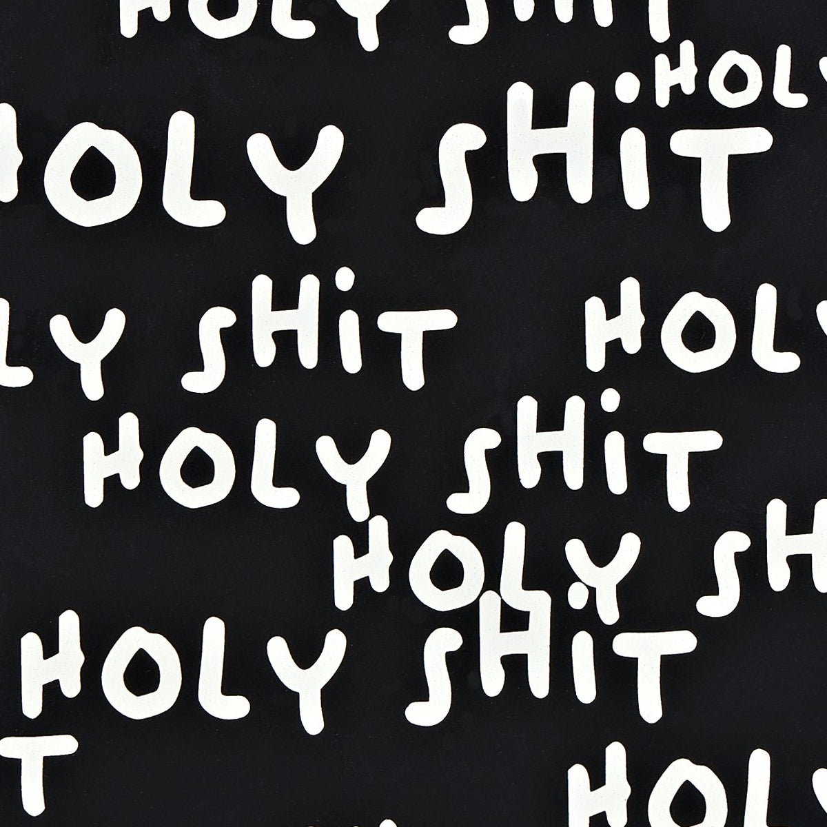 notebook — holy shit — S
