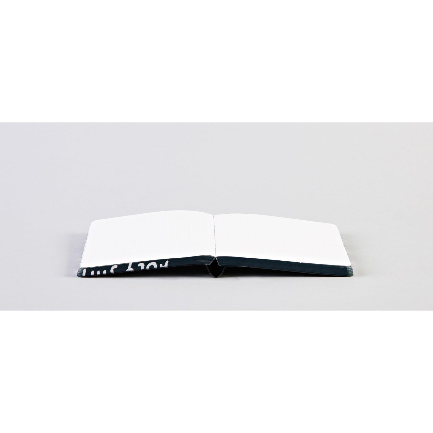 notebook — holy shit — S