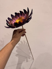 Papírová květina rainbow — XL / 25 cm