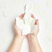 konfety — white rose