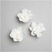 květy z krepového papíru — blossom white — 3 ks